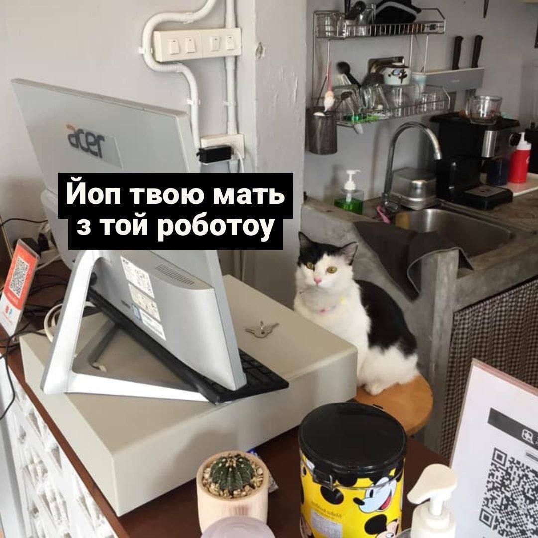 Мемы на 1 мая о работе, которую мы иногда так 'любим' - 860117 Мемы на 1 мая о работе, которую мы иногда так 'любим' - фото 860117
