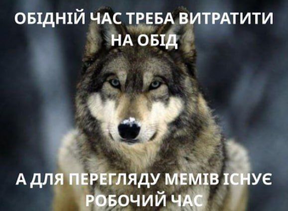 Мемы на 1 мая о работе, которую мы иногда так 'любим' - 860118 Мемы на 1 мая о работе, которую мы иногда так 'любим' - фото 860118