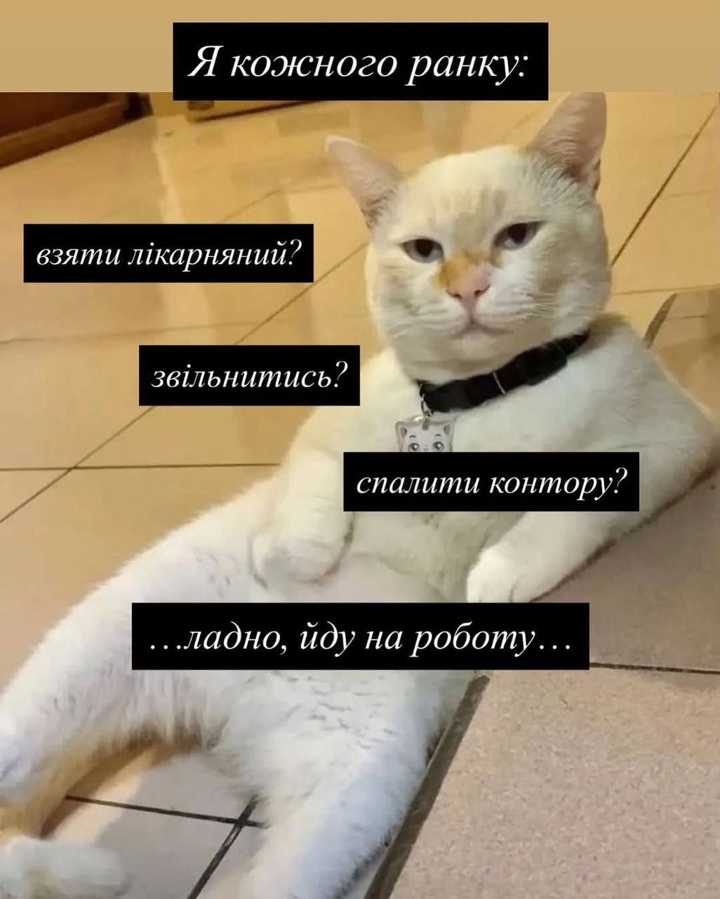 Мемы на 1 мая о работе, которую мы иногда так 'любим' - 860121 Мемы на 1 мая о работе, которую мы иногда так 'любим' - фото 860121