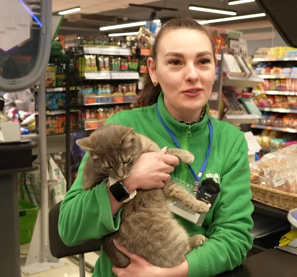 Сидит за кассой уже в 7 утра: как кот Гоша стал звездой магазина в Кропивницком - 860664 Сидит за кассой уже в 7 утра: как кот Гоша стал звездой магазина в Кропивницком - фото 860664