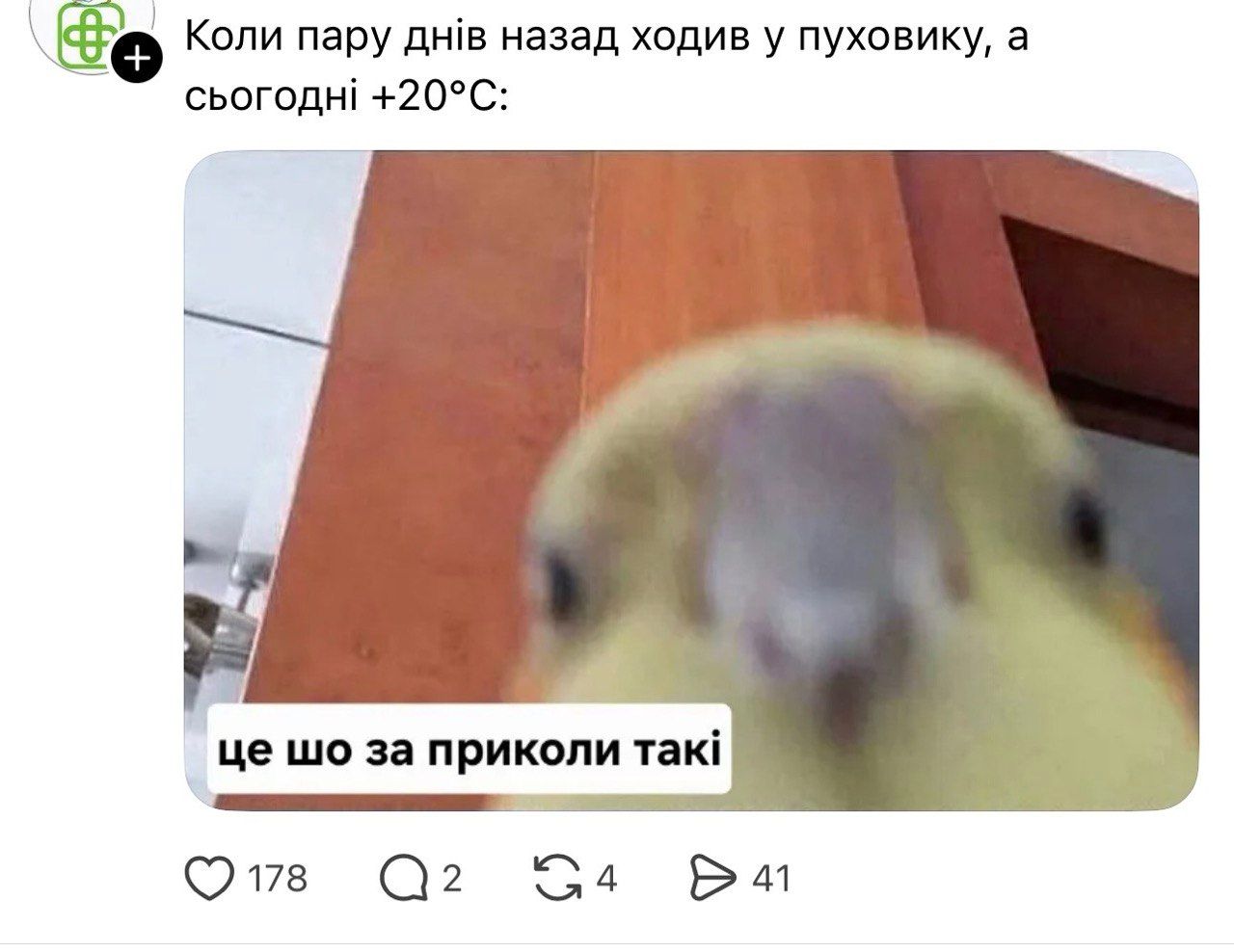Меми, приколи про зміну погоди - тренд мережі - фото 861036