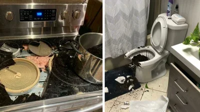 Это полный капец: неожиданные домашние катастрофы, после которых еще долго придется убирать