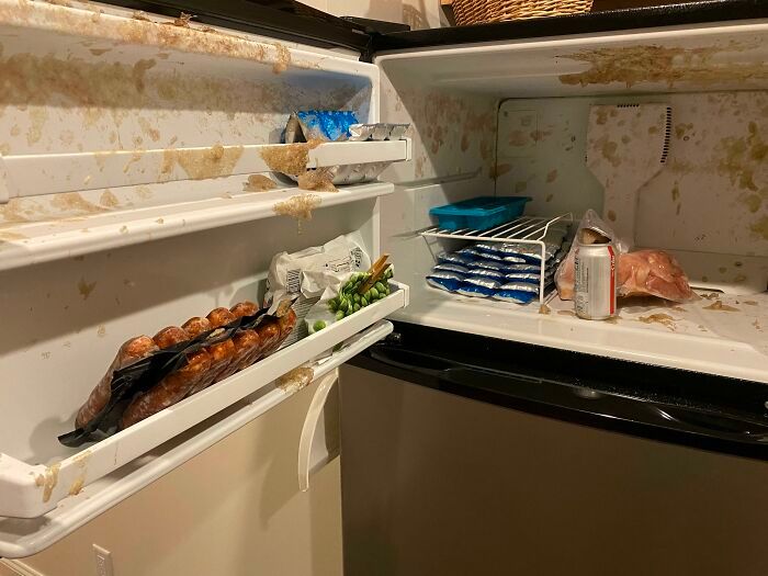 Це повний капець: неочікувані домашні катастрофи, після яких ще довго доведеться прибирати - фото 861892