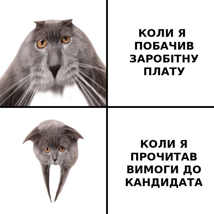 Смешные мемы про зарплату, которая сегодня еще есть, а завтра уже нет - фото 862206