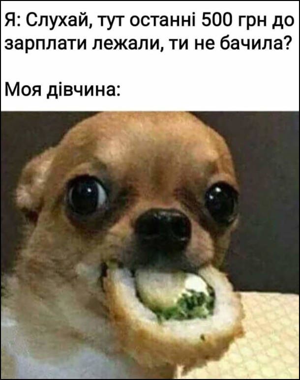 Смешные мемы про зарплату, которая сегодня еще есть, а завтра уже нет - фото 862213