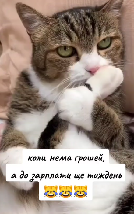 Смешные мемы про зарплату, которая сегодня еще есть, а завтра уже нет - фото 862221