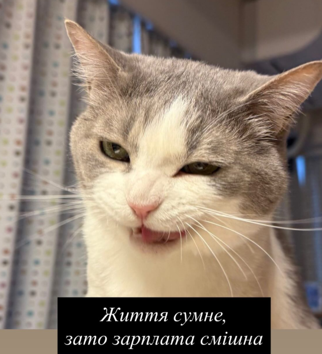 Смешные мемы про зарплату, которая сегодня еще есть, а завтра уже нет - фото 862226