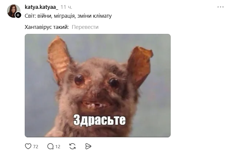 'Да дайте пожить спокойно': мемы и шутки о хантавирусе, который распространился на круизном лайнере - фото 862590