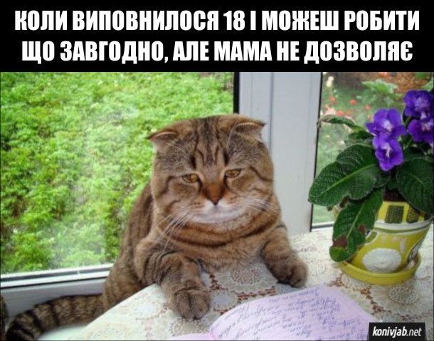 Мамы поймут: жизненные мемы о мамочках, которые вызывают и улыбку, и слезы - 863104 Мамы поймут: жизненные мемы о мамочках, которые вызывают и улыбку, и слезы - фото 863104