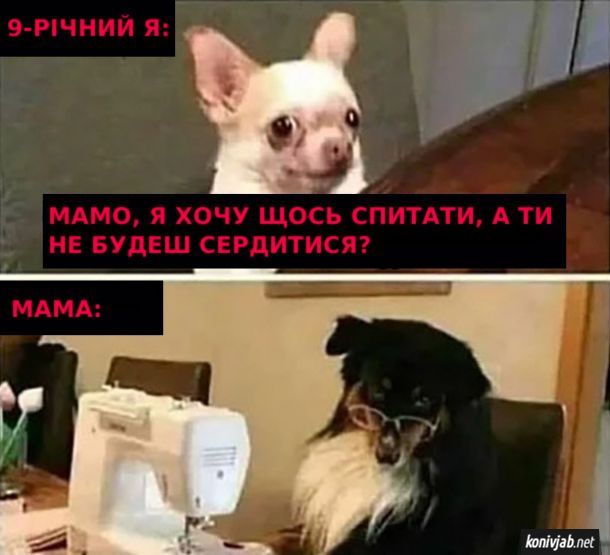 Мамы поймут: жизненные мемы о мамочках, которые вызывают и улыбку, и слезы - 863111 Мамы поймут: жизненные мемы о мамочках, которые вызывают и улыбку, и слезы - фото 863111