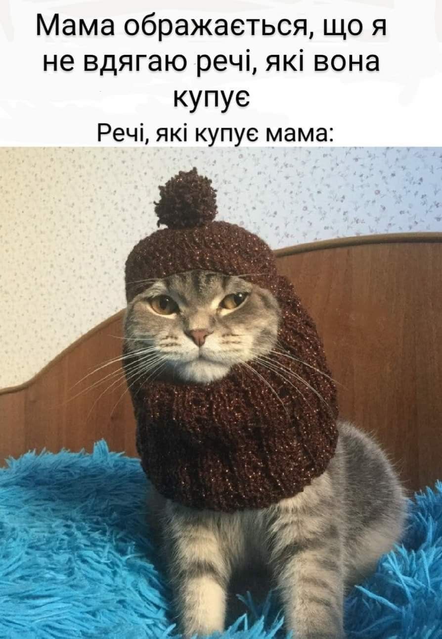 Мамы поймут: жизненные мемы о мамочках, которые вызывают и улыбку, и слезы - 863116 Мамы поймут: жизненные мемы о мамочках, которые вызывают и улыбку, и слезы - фото 863116