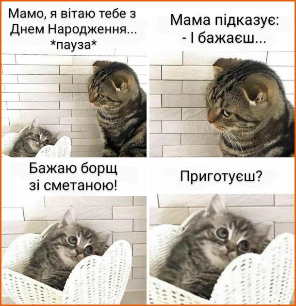 Мамы поймут: жизненные мемы о мамочках, которые вызывают и улыбку, и слезы - 863121 Мамы поймут: жизненные мемы о мамочках, которые вызывают и улыбку, и слезы - фото 863121