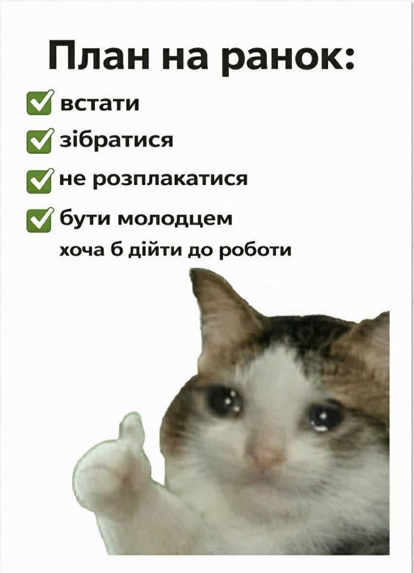 20 забавных мемов с животными об усталости, работе и взрослой жизни - фото 863415