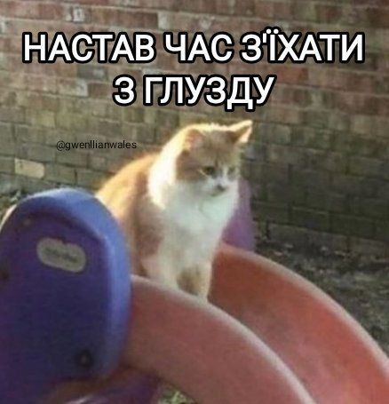 20 забавных мемов с животными об усталости, работе и взрослой жизни - фото 863416