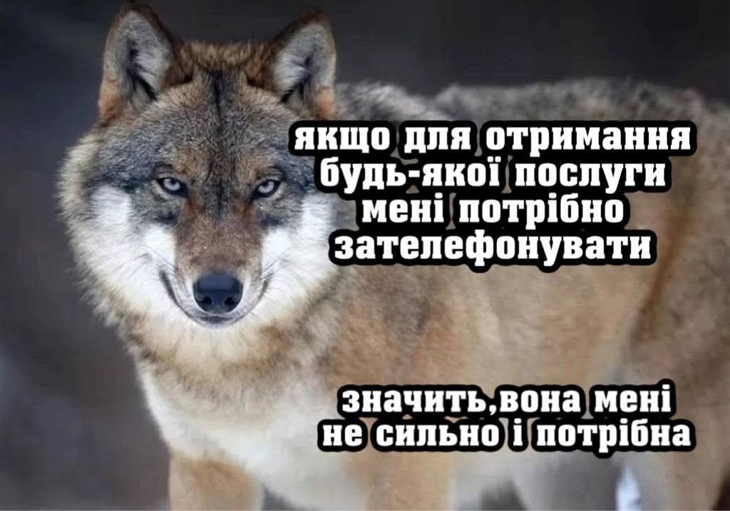 20 забавных мемов с животными об усталости, работе и взрослой жизни - фото 863418
