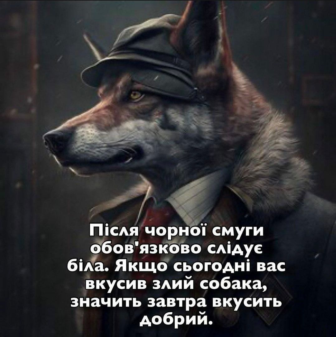 20 забавных мемов с животными об усталости, работе и взрослой жизни - фото 863420