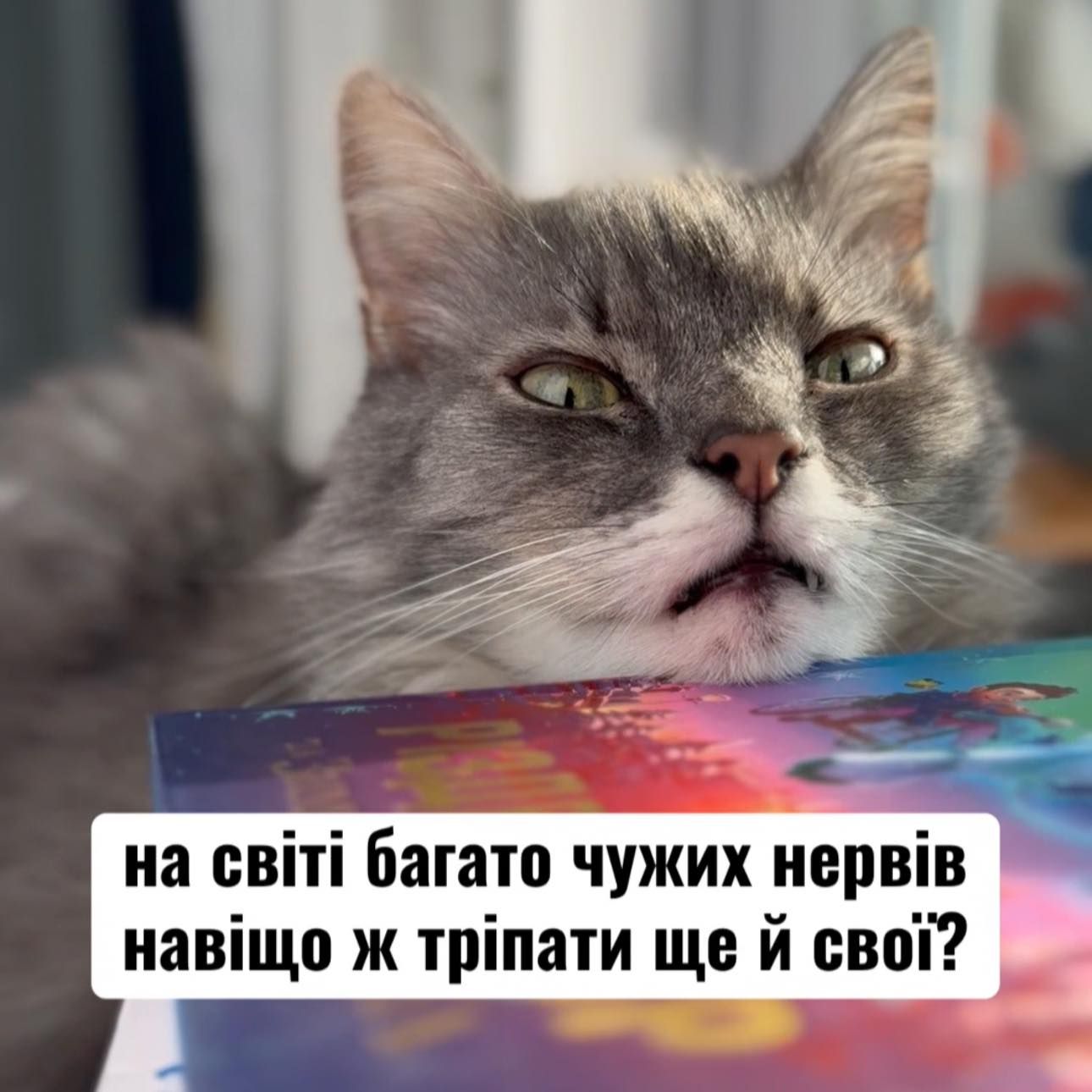 20 забавных мемов с животными об усталости, работе и взрослой жизни - фото 863431