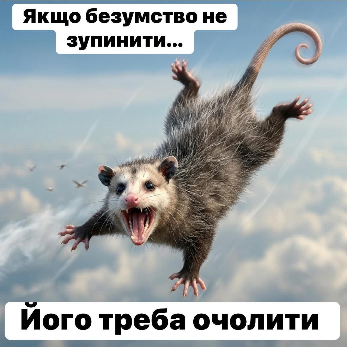 20 забавных мемов с животными об усталости, работе и взрослой жизни - фото 863433