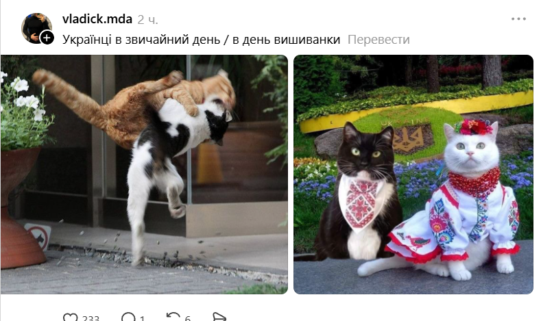 Смешные мемы про украинцев и День Вышиванки 2026 - 867564 Смешные мемы про украинцев и День Вышиванки 2026 - фото 867564