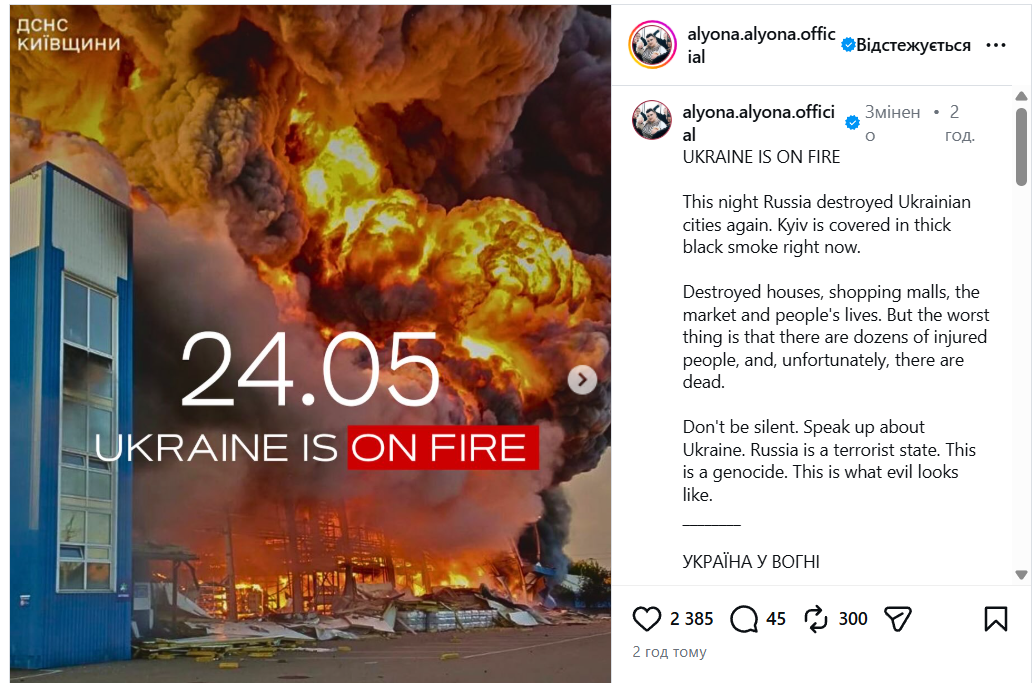 Alyona alyona закликала донатити на Збройні Сили - фото 868199