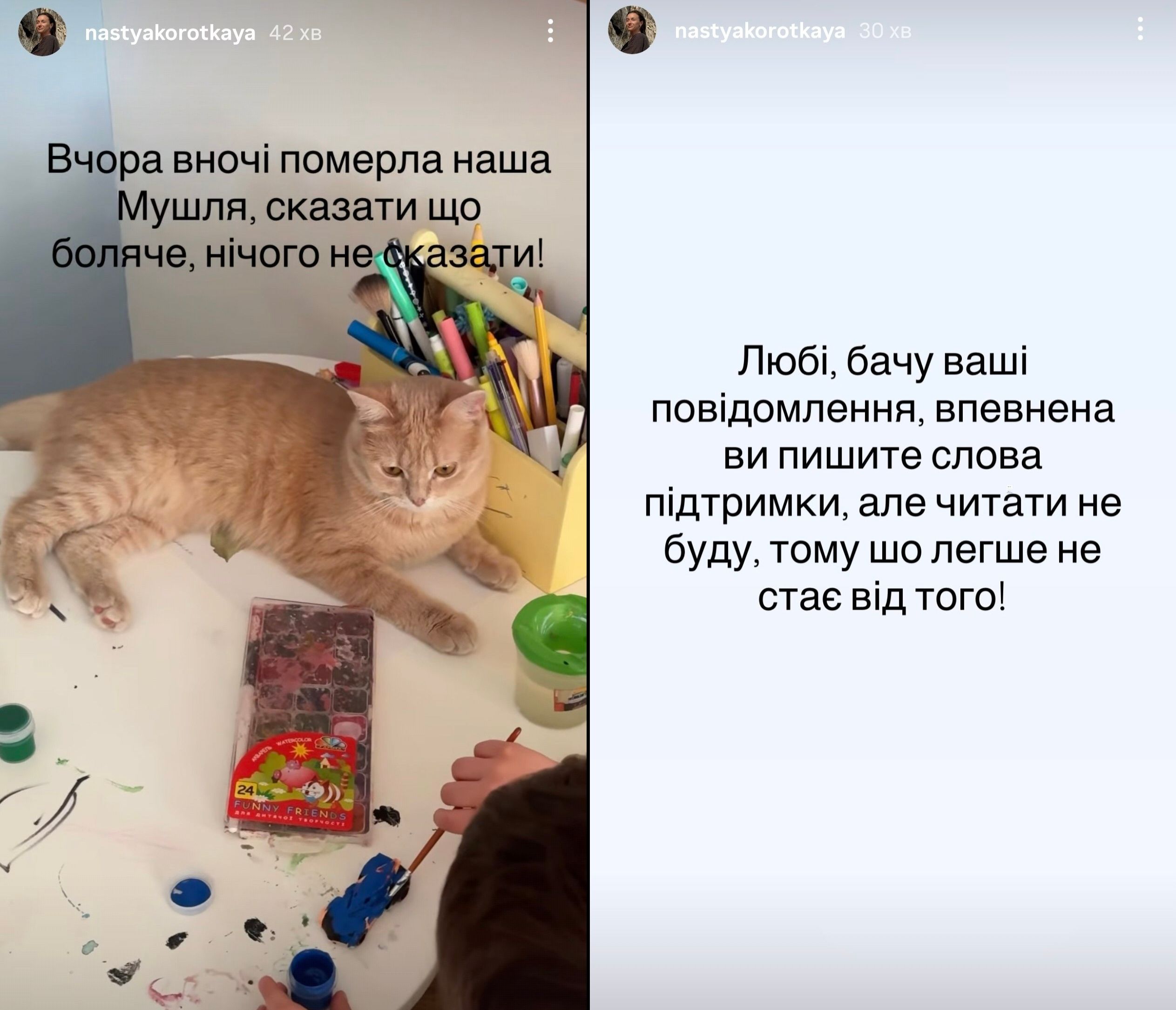 Настя Короткая сообщила о печальной утрате в семье - 868290 Настя Короткая сообщила о печальной утрате в семье - фото 868290