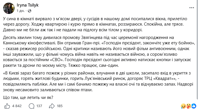 Ірина Цілик розкритикувала промову Андрія Звягінцева на Каннському кінофестивалі - 868676 Ірина Цілик розкритикувала промову Андрія Звягінцева на Каннському кінофестивалі - фото 868676