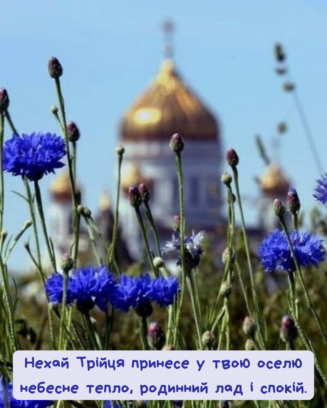 Церковные поздравления с Троицей и открытки с пожеланиями благословения - фото 868993