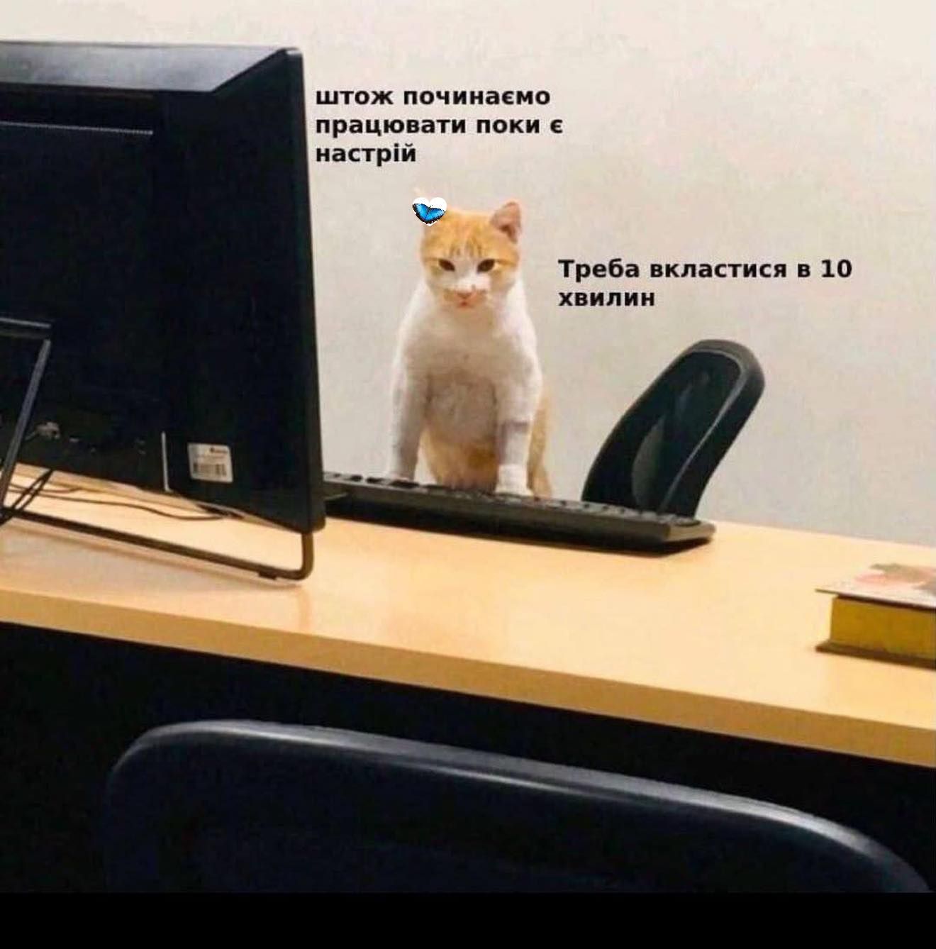 Жизненные мемы о работе, дедлайнах и усталости посреди недели - фото 869335