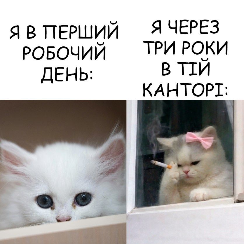 Жизненные мемы о работе, дедлайнах и усталости посреди недели - фото 869336