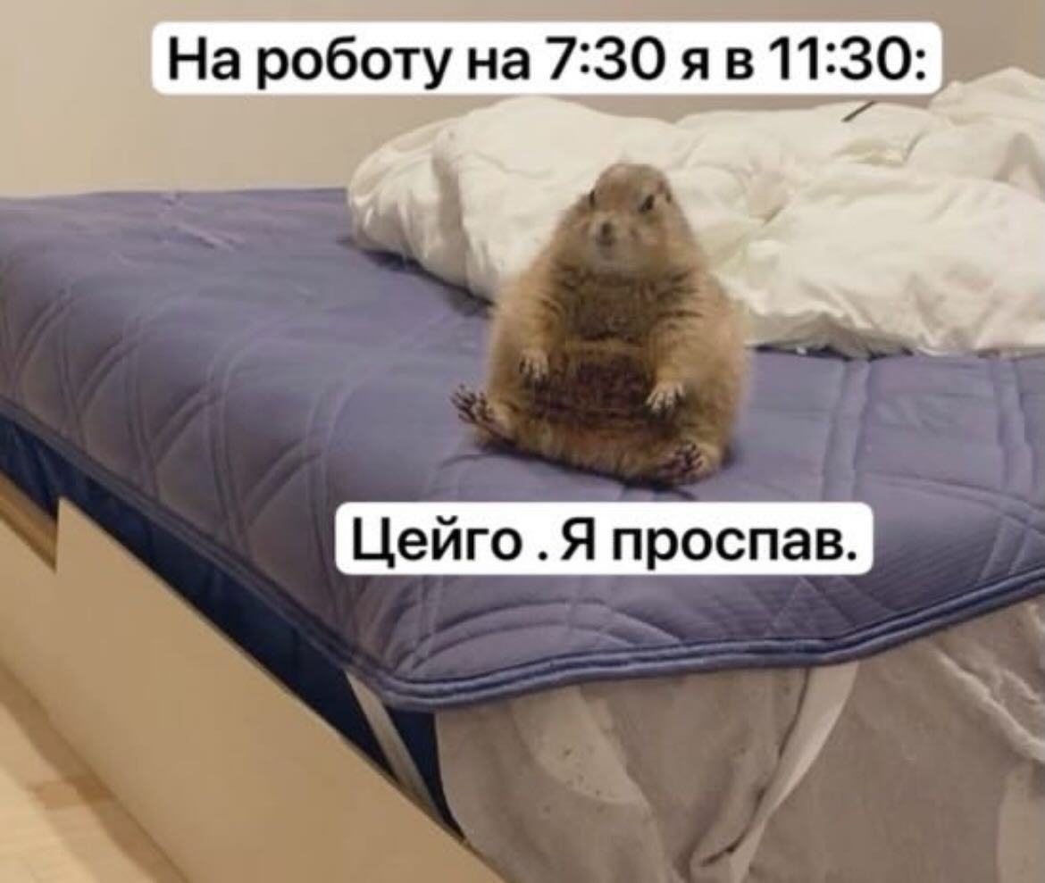 Жизненные мемы о работе, дедлайнах и усталости посреди недели - фото 869337