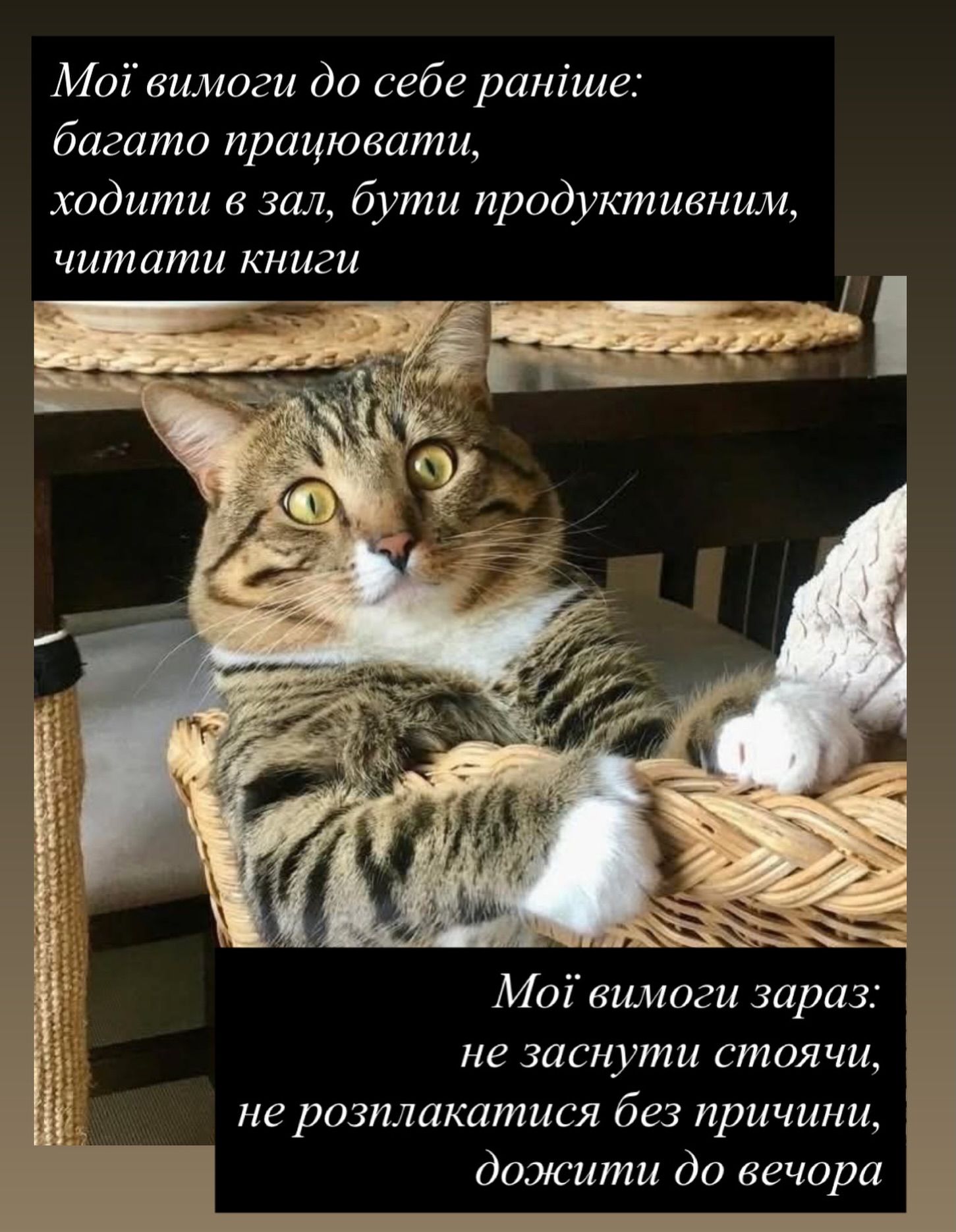Жизненные мемы о работе, дедлайнах и усталости посреди недели - фото 869339