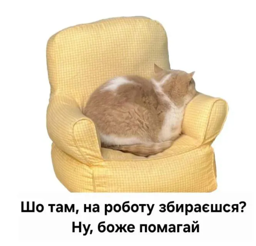 Жизненные мемы о работе, дедлайнах и усталости посреди недели - фото 869341