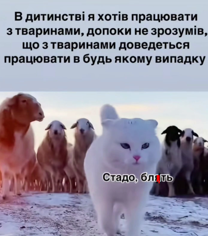 Жизненные мемы о работе, дедлайнах и усталости посреди недели - фото 869342
