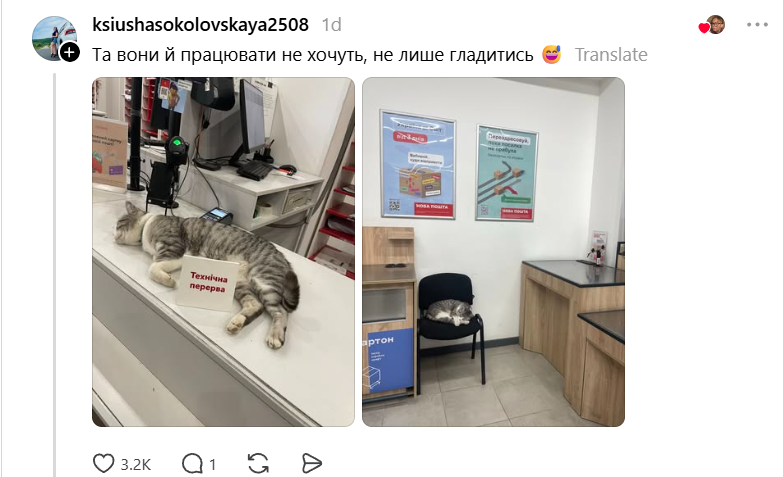 Пухнасті працівники 'Нової пошти' - 869384 Пухнасті працівники 'Нової пошти' - фото 869384