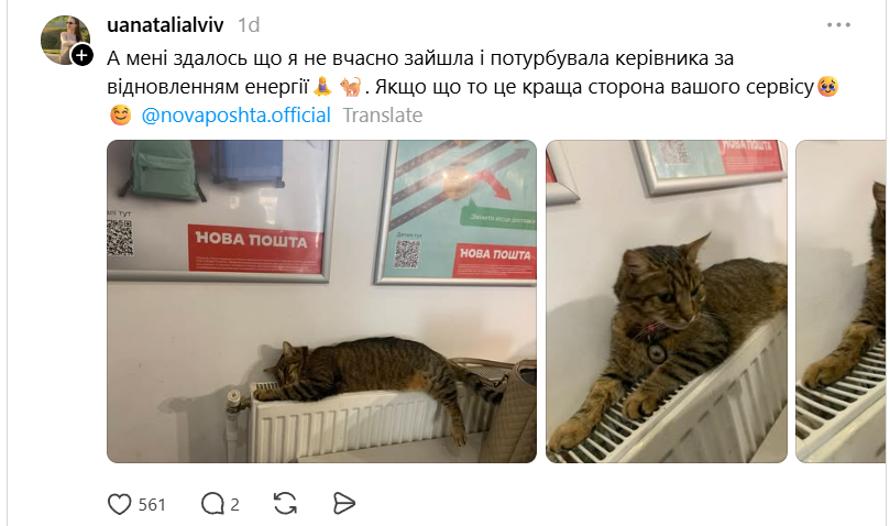 Пухнасті працівники 'Нової пошти' - 869386 Пухнасті працівники 'Нової пошти' - фото 869386