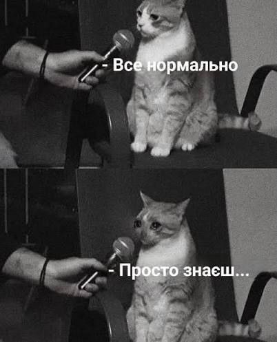 Украинцы показали любимые мемы — и это терапия, которую мы заслужили - 869796 Украинцы показали любимые мемы — и это терапия, которую мы заслужили - фото 869796
