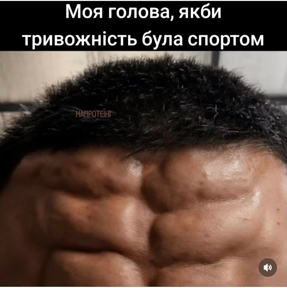 Украинцы показали любимые мемы — и это терапия, которую мы заслужили - 869798 Украинцы показали любимые мемы — и это терапия, которую мы заслужили - фото 869798