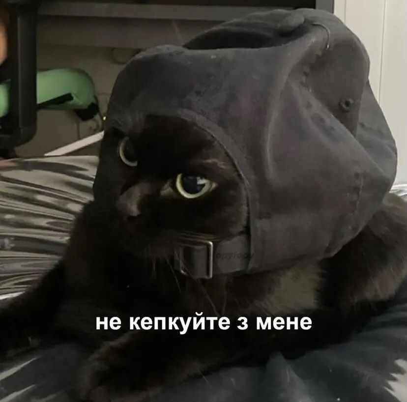 Украинцы показали любимые мемы — и это терапия, которую мы заслужили - 869800 Украинцы показали любимые мемы — и это терапия, которую мы заслужили - фото 869800