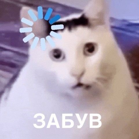 Украинцы показали любимые мемы — и это терапия, которую мы заслужили - 869803 Украинцы показали любимые мемы — и это терапия, которую мы заслужили - фото 869803