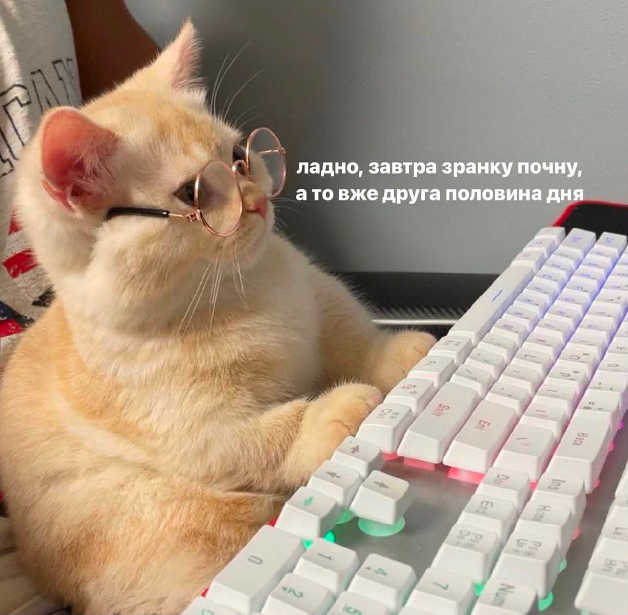 Украинцы показали любимые мемы — и это терапия, которую мы заслужили - 869804 Украинцы показали любимые мемы — и это терапия, которую мы заслужили - фото 869804