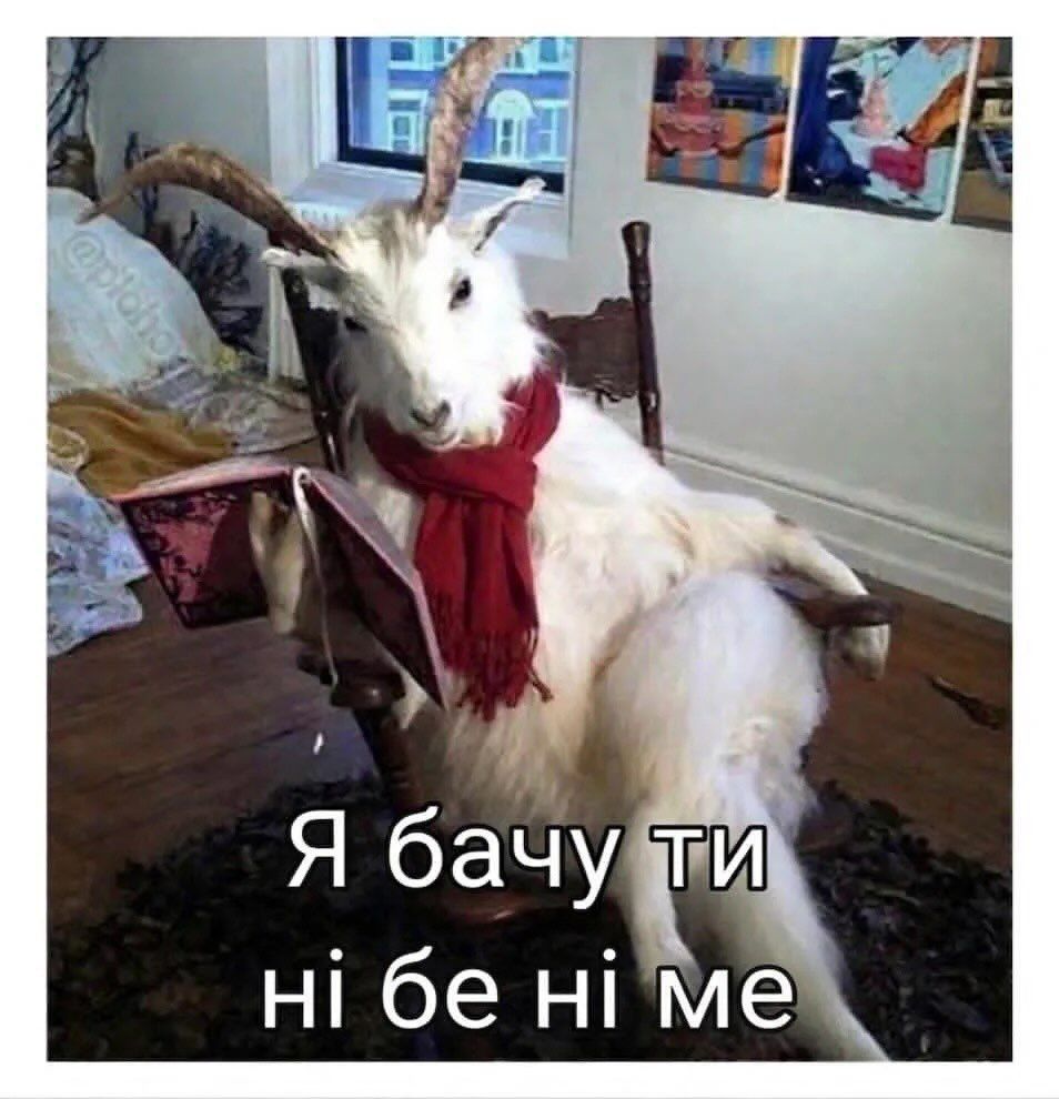 Украинцы показали любимые мемы — и это терапия, которую мы заслужили - 869806 Украинцы показали любимые мемы — и это терапия, которую мы заслужили - фото 869806