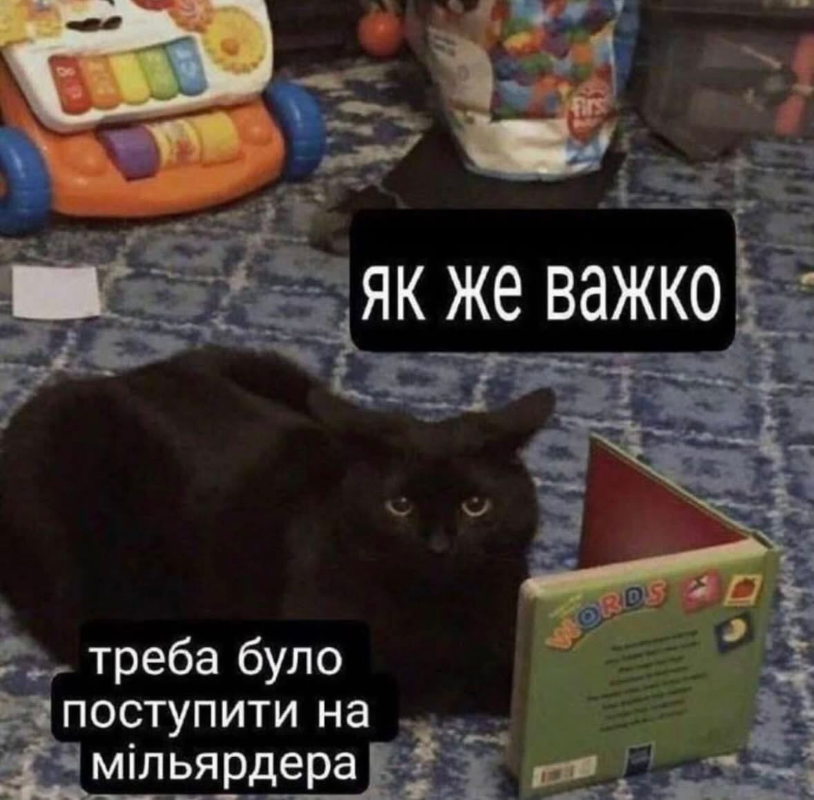 Украинцы показали любимые мемы — и это терапия, которую мы заслужили - 869812 Украинцы показали любимые мемы — и это терапия, которую мы заслужили - фото 869812