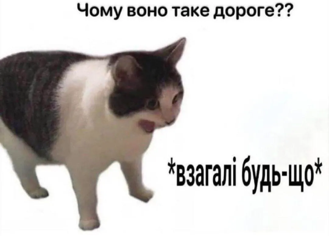 Украинцы показали любимые мемы — и это терапия, которую мы заслужили - 869813 Украинцы показали любимые мемы — и это терапия, которую мы заслужили - фото 869813