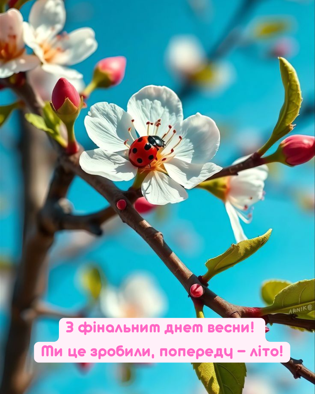 Атмосферные картинки с Последним днем весны: провожаем май красиво - 869954 Атмосферные картинки с Последним днем весны: провожаем май красиво - фото 869954