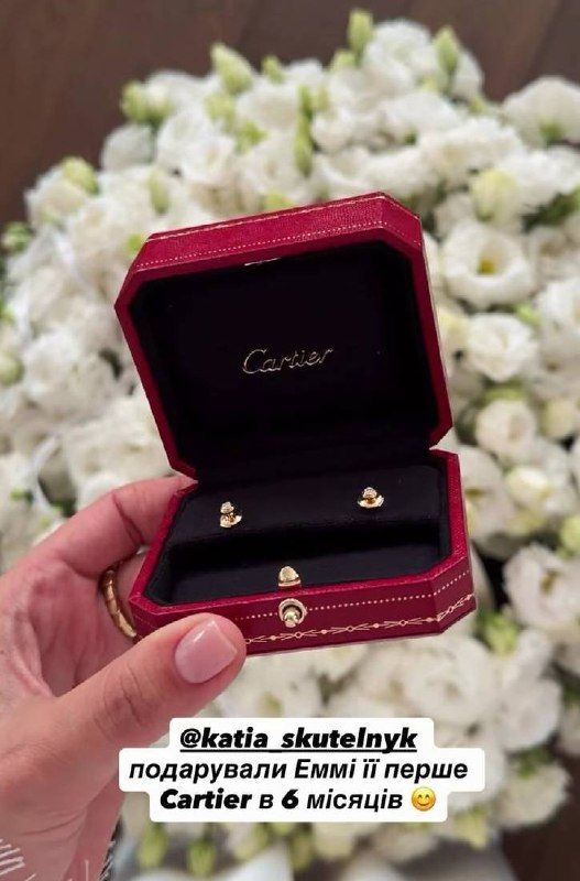 Сережки Cartier - 870504 Серьги Cartier - фото 870504