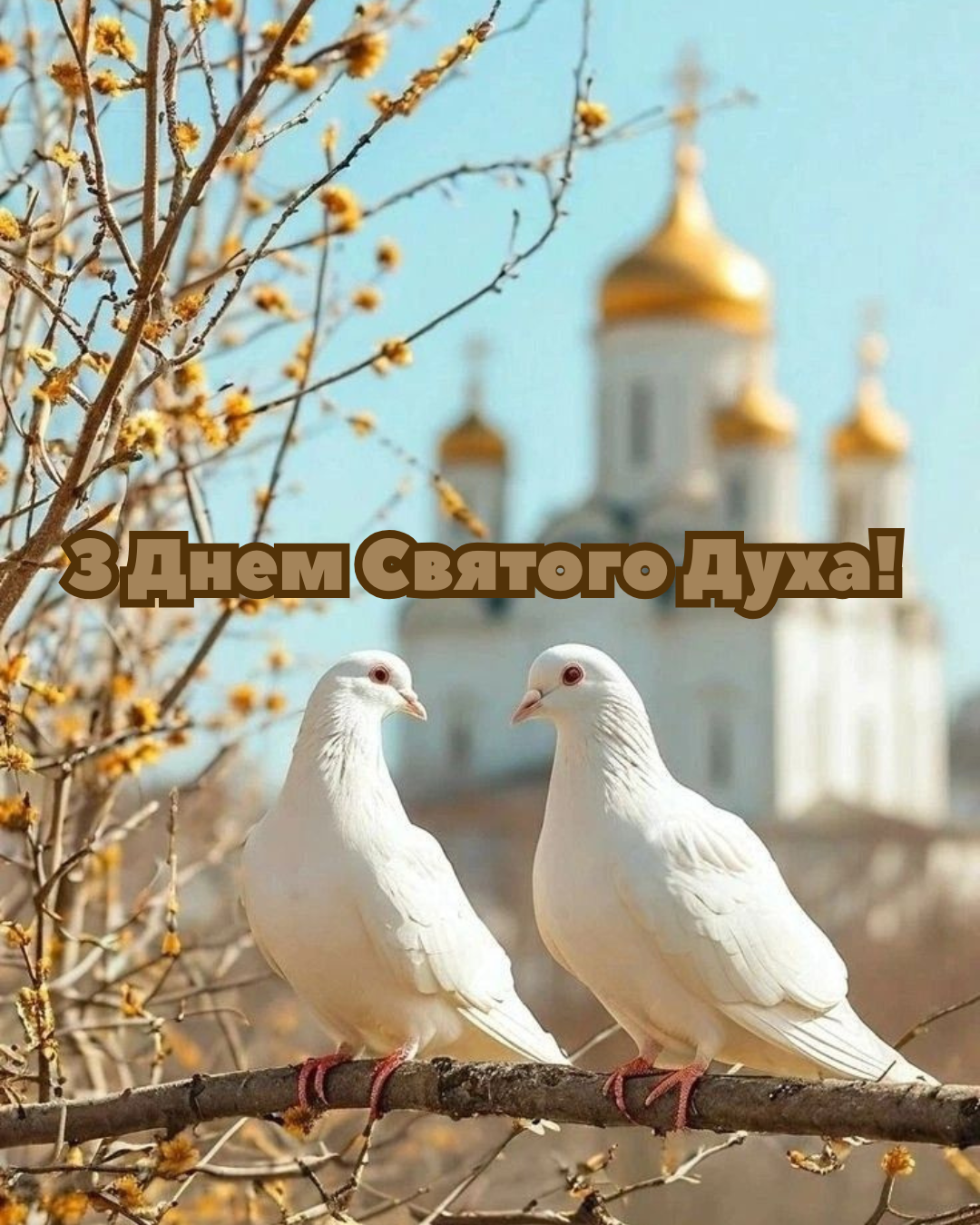 Светлые поздравления с Днем Святого Духа и красивые картинки для самых близких - фото 870898