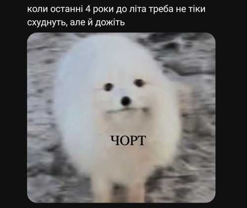 Жизненные мемы о лете: когда в мечтах отдых, а в планах только работа - фото 871234