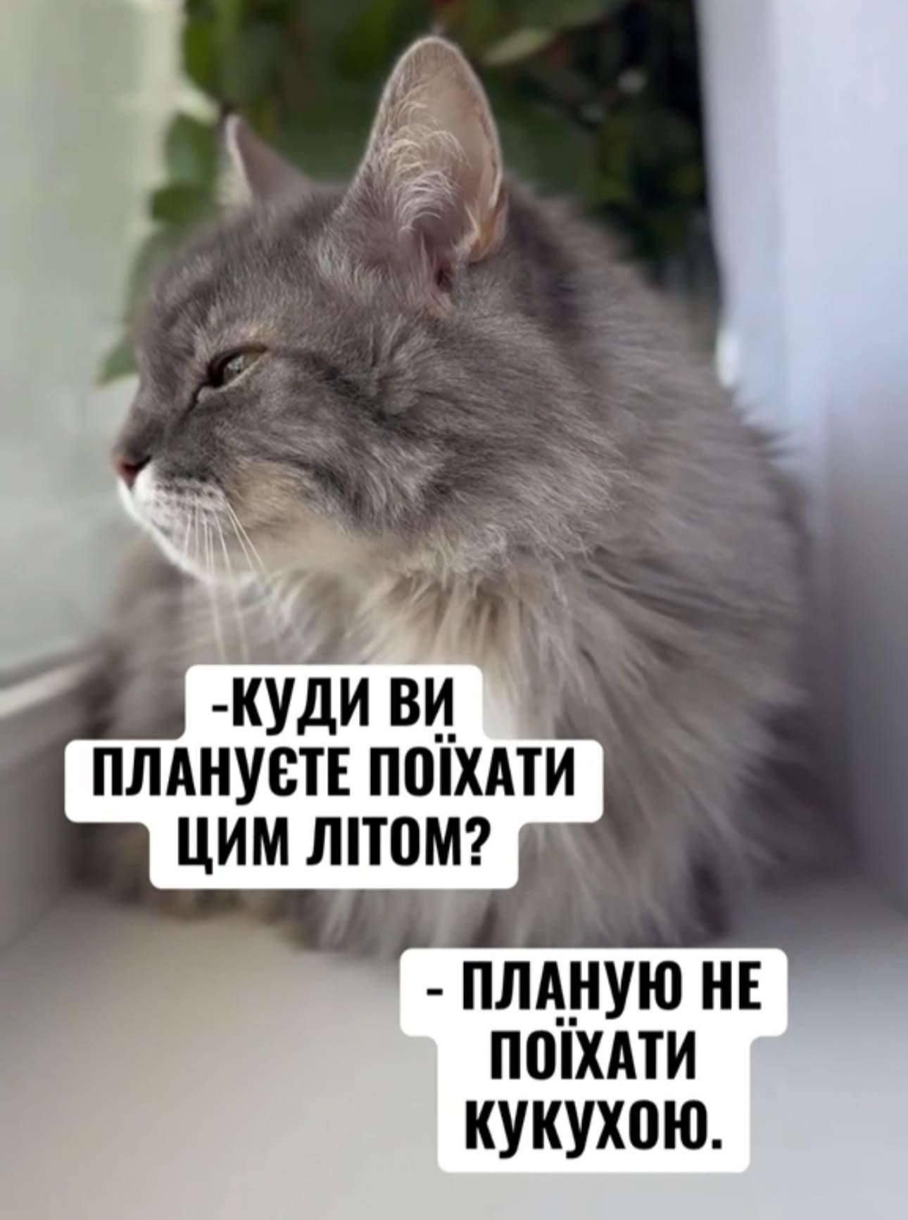Жизненные мемы о лете: когда в мечтах отдых, а в планах только работа - фото 871237