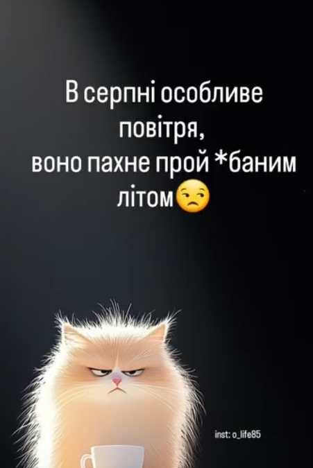 Жизненные мемы о лете: когда в мечтах отдых, а в планах только работа - фото 871238