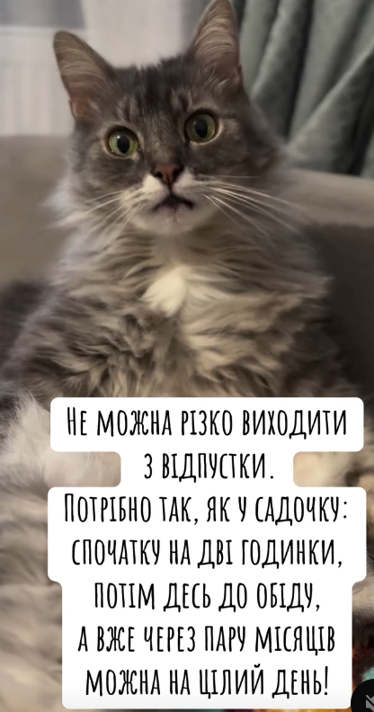 Жизненные мемы о лете: когда в мечтах отдых, а в планах только работа - фото 871240